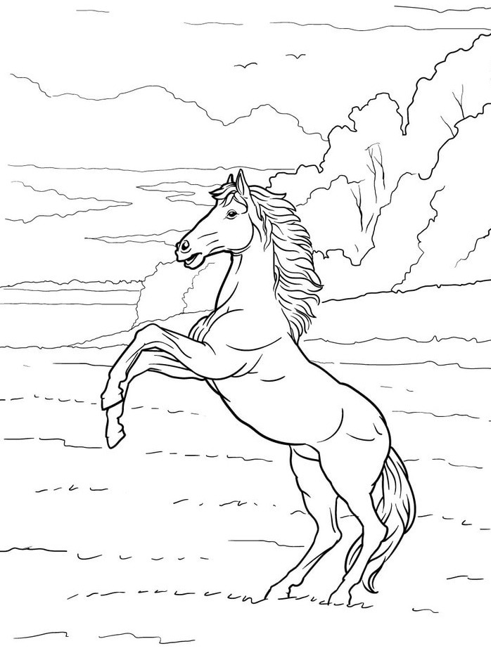 Cavalo para colorir (34)