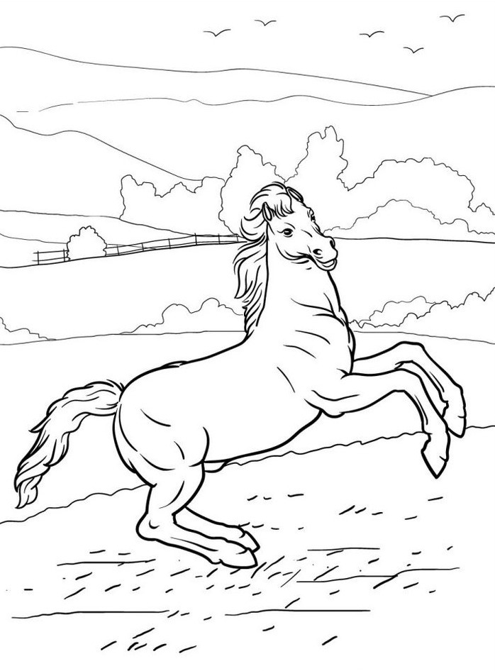 Cavalo para colorir (38)