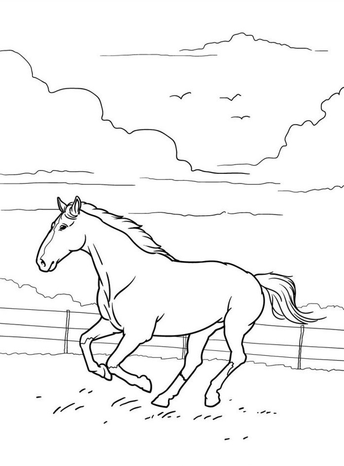 Cavalo para colorir (39)