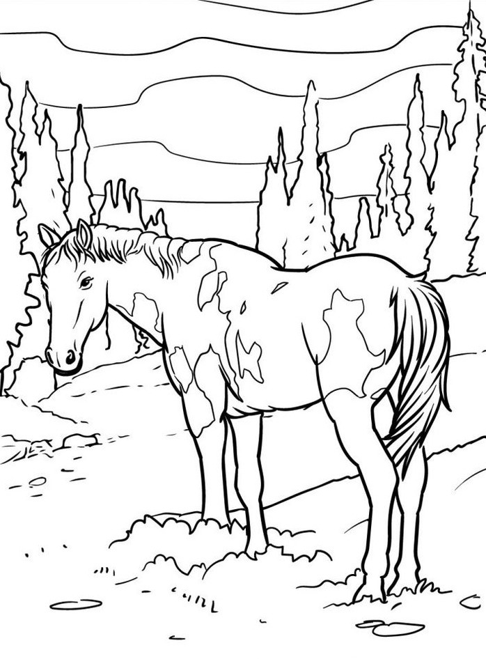 Cavalo para colorir (42)