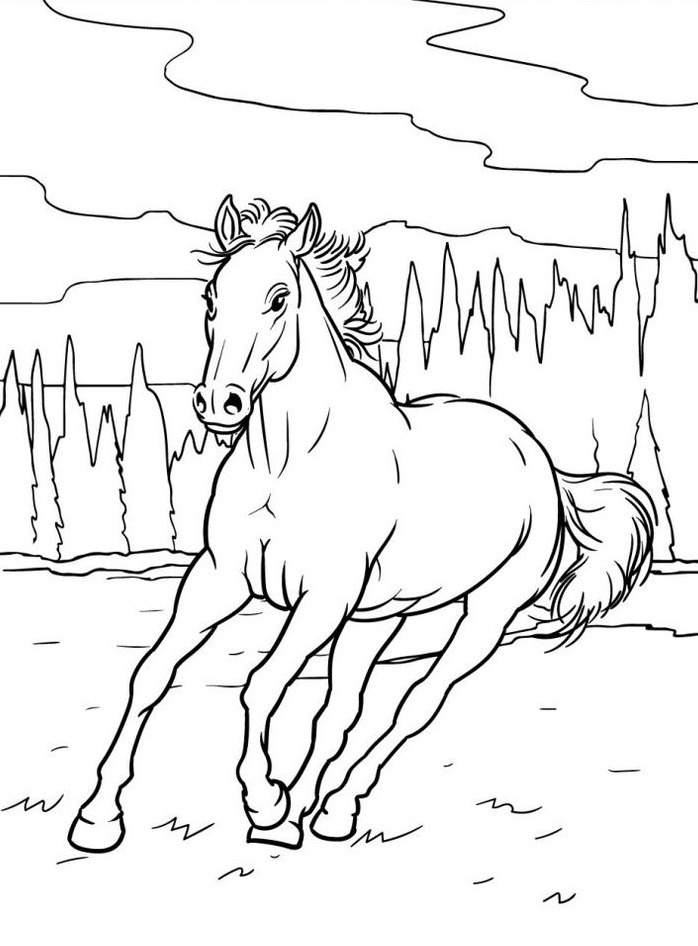 Cavalo para colorir (44)