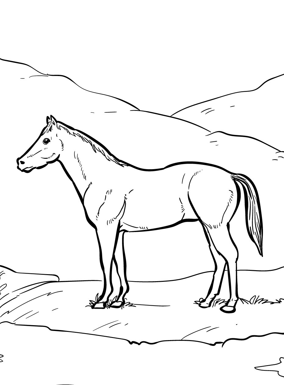 Cavalo para colorir (45)