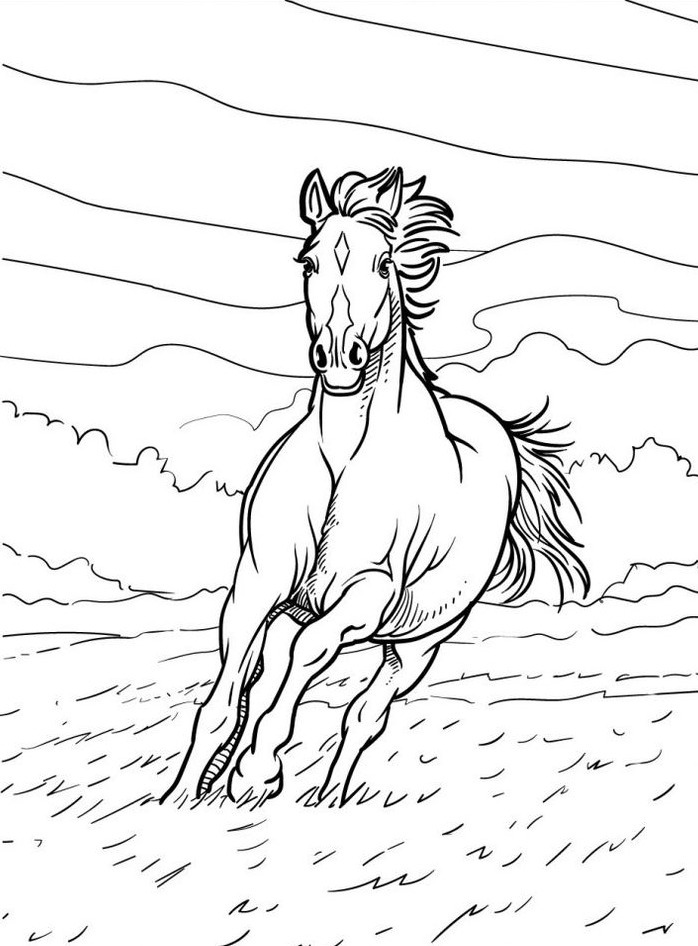 Cavalo para colorir (46)