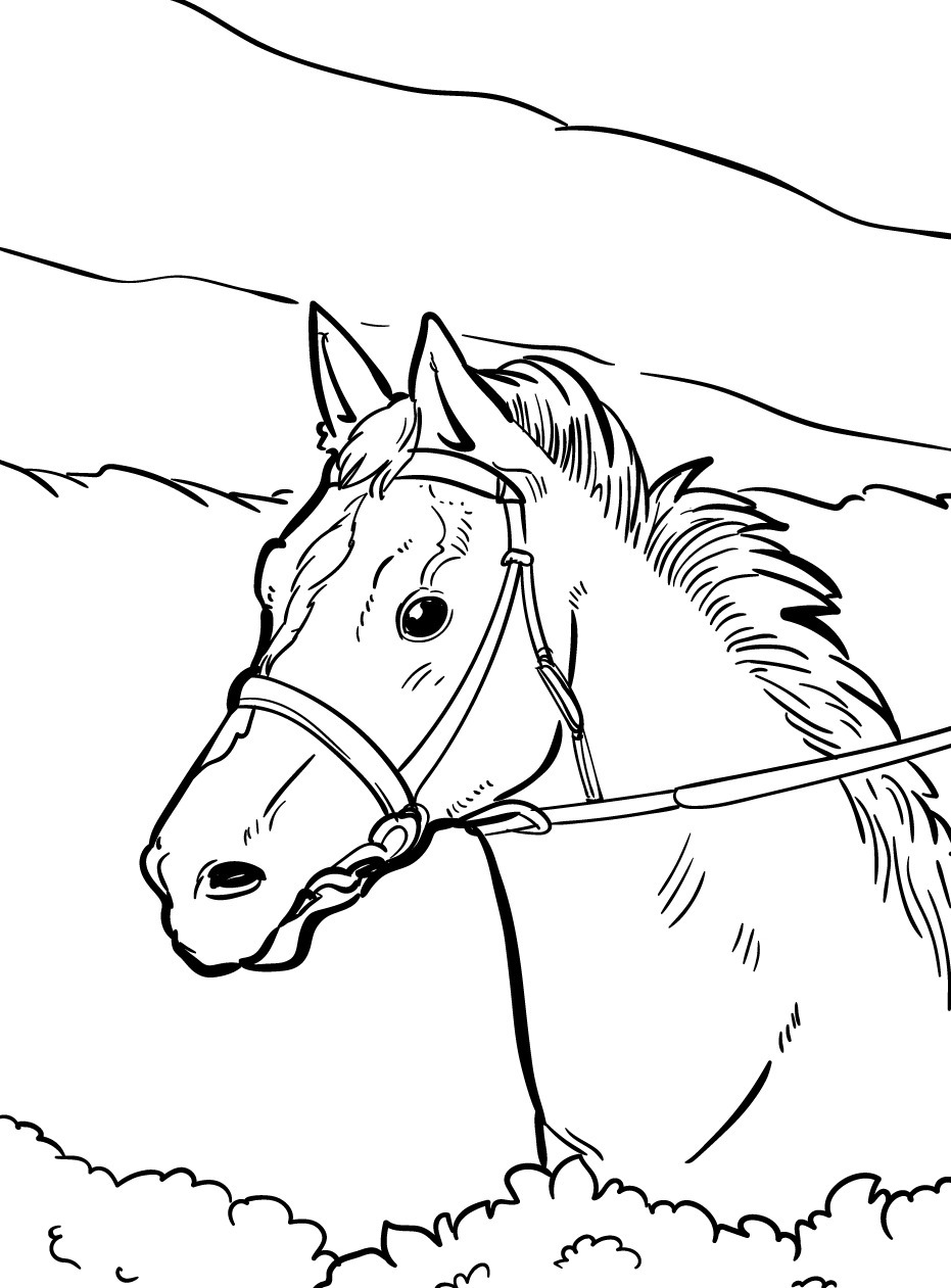 Cavalo para colorir (47)