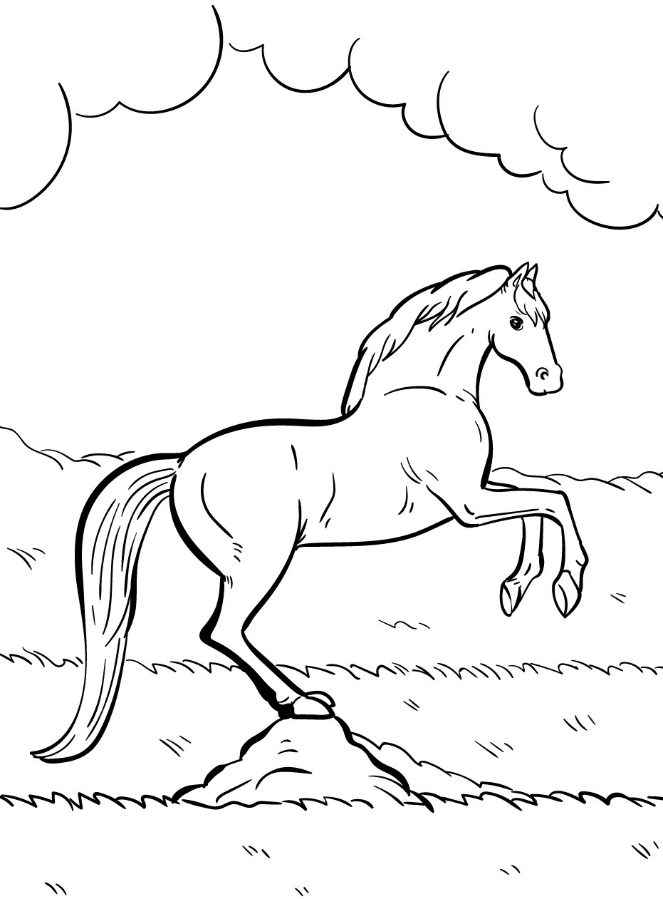 Cavalo para colorir (48)