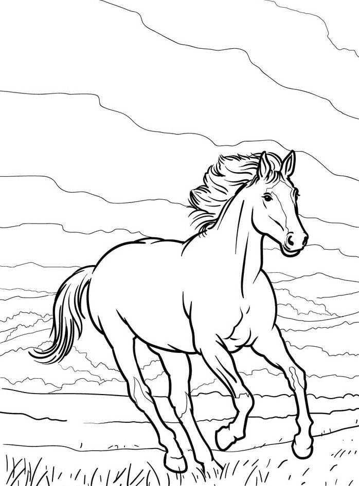 Cavalo para colorir (50)