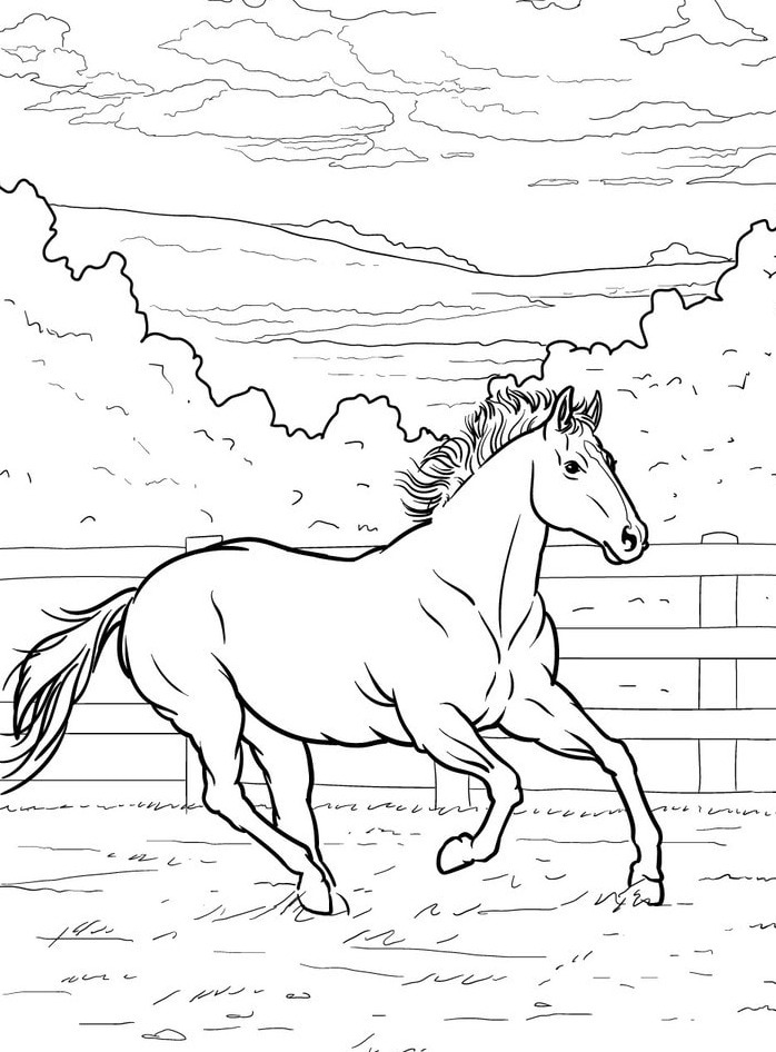 Cavalo para colorir (51)