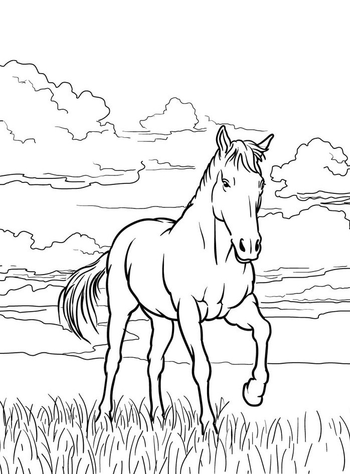 Cavalo para colorir (52)