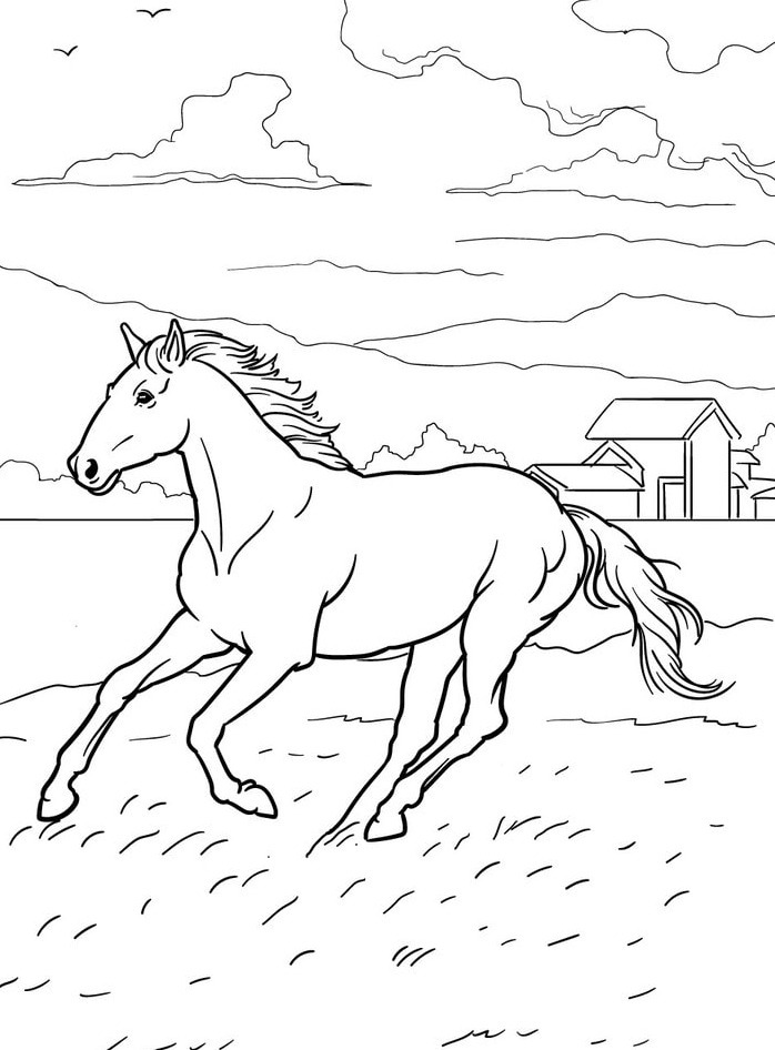 Cavalo para colorir (54)