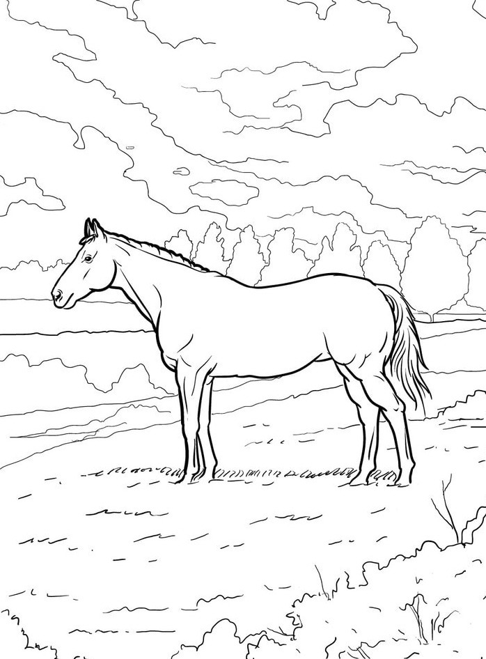 Cavalo para colorir (55)