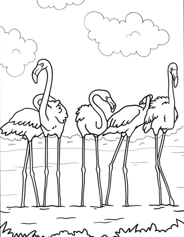 Flamingo para colorir (13)