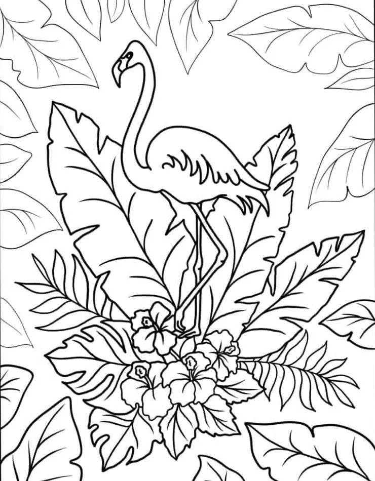 Flamingo para colorir (15)