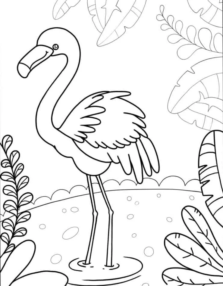 Flamingo para colorir (17)