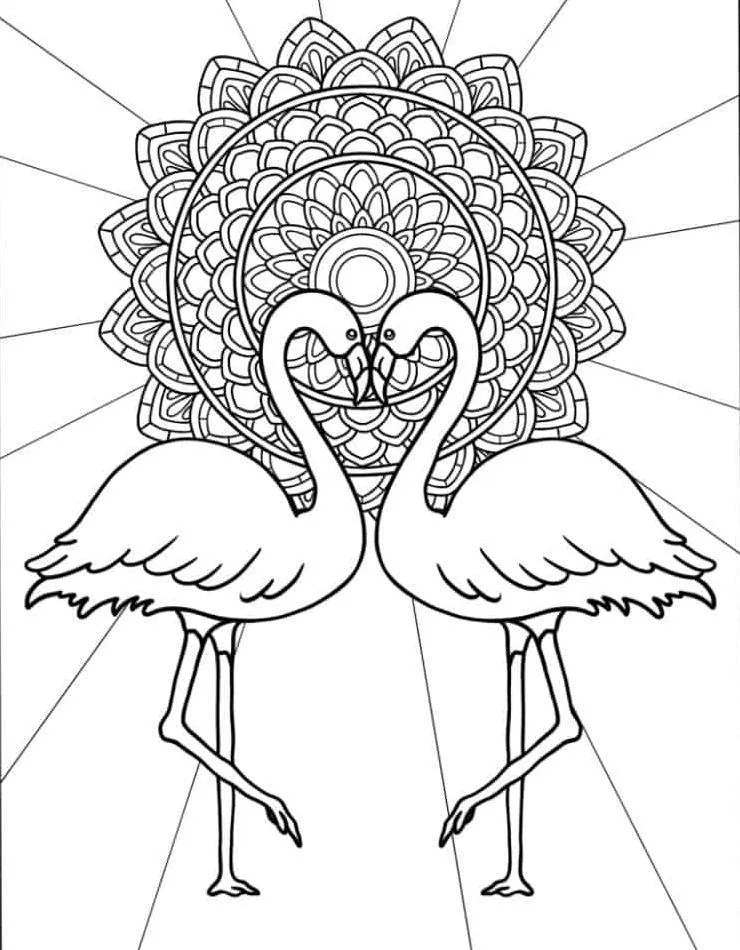 Flamingo para colorir (19)