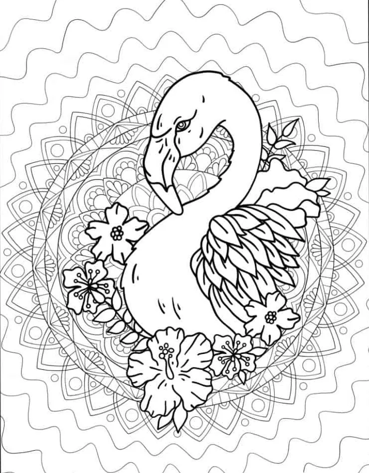 Flamingo para colorir (22)