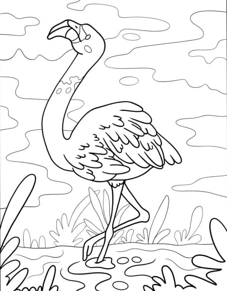 Flamingo para colorir (24)