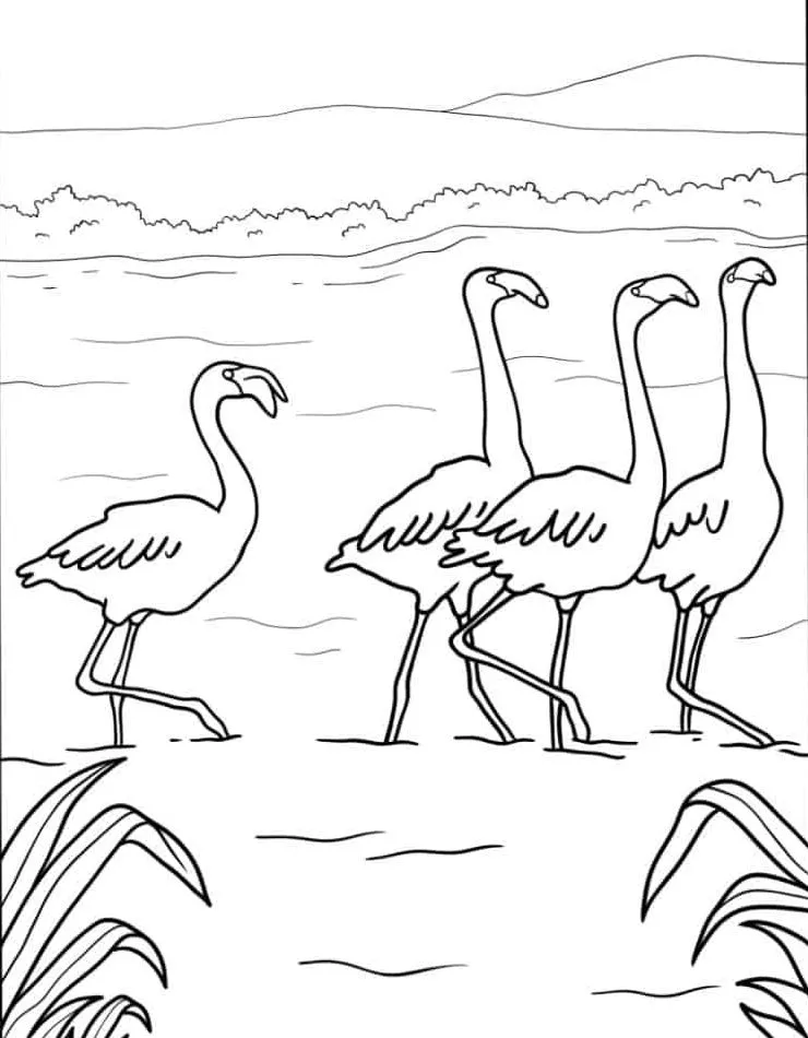 Flamingo para colorir (25)