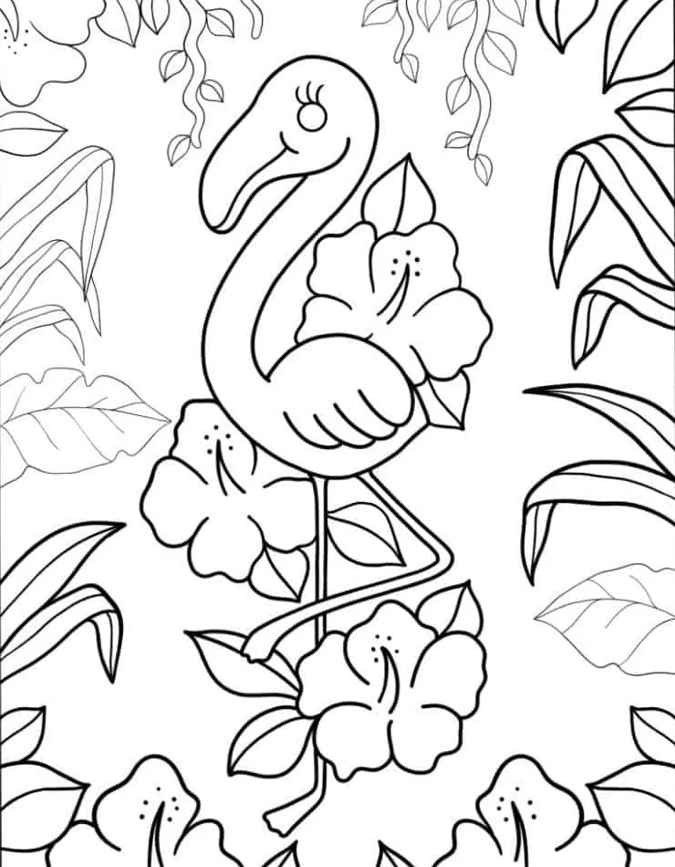 Flamingo para colorir (27)