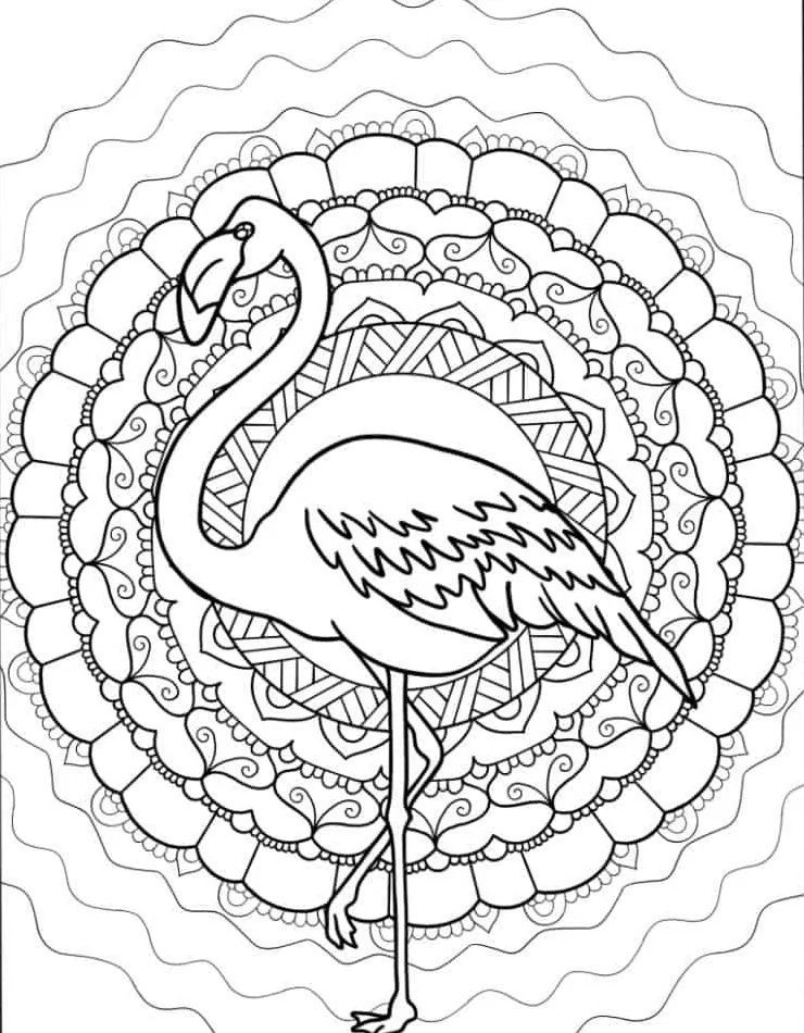 Flamingo para colorir (28)