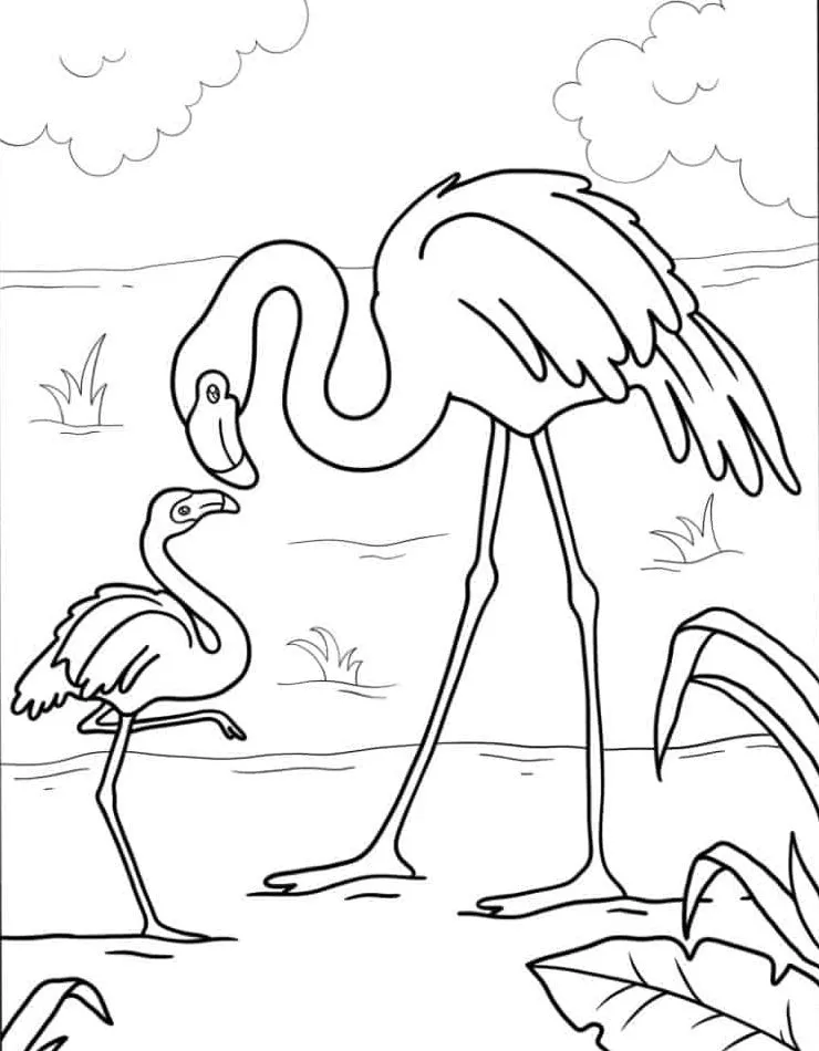 Flamingo para colorir (29)