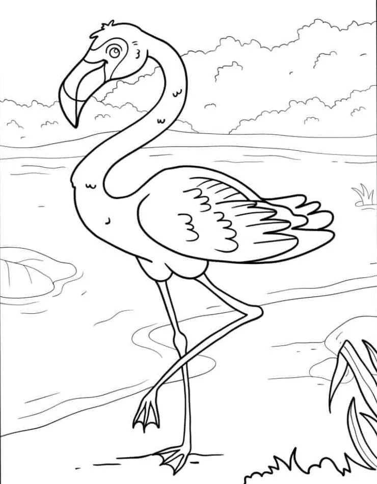 Flamingo para colorir (31)