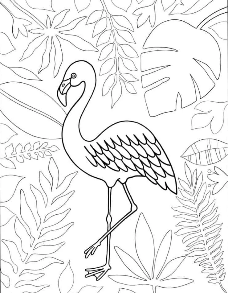 Flamingo para colorir (32)