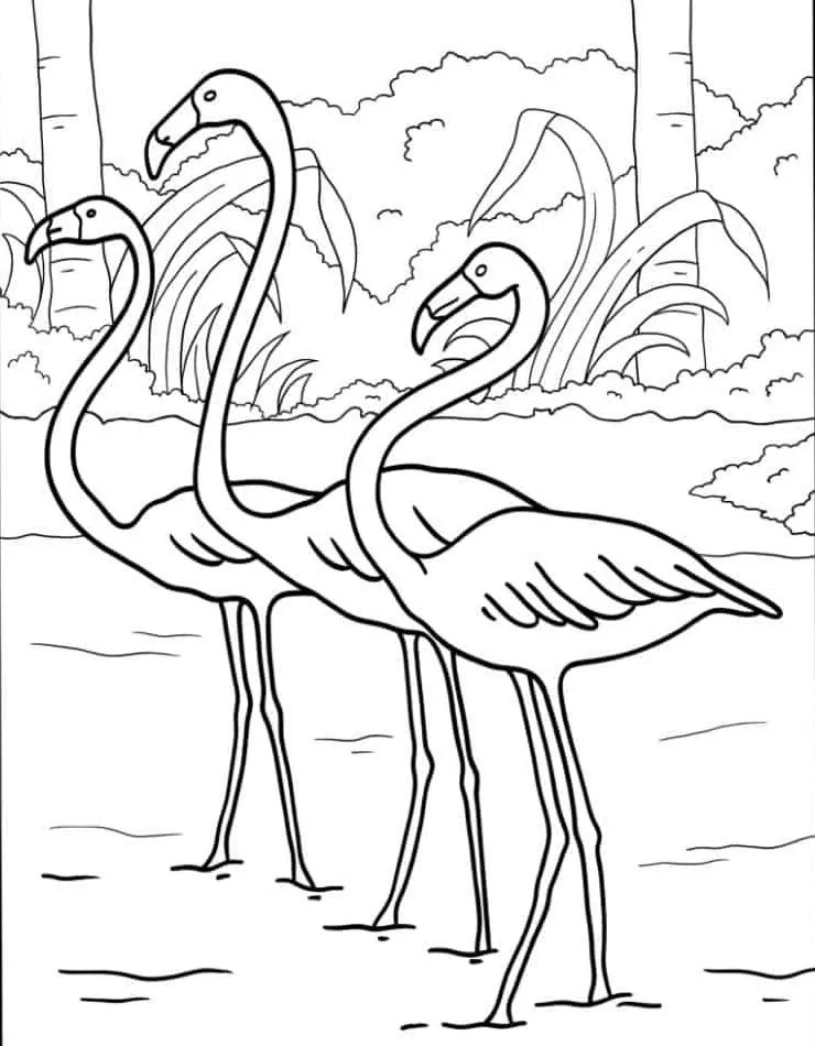 Flamingo para colorir (33)