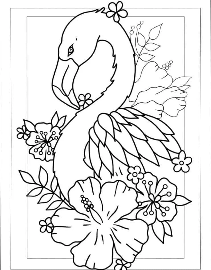 Flamingo para colorir (35)