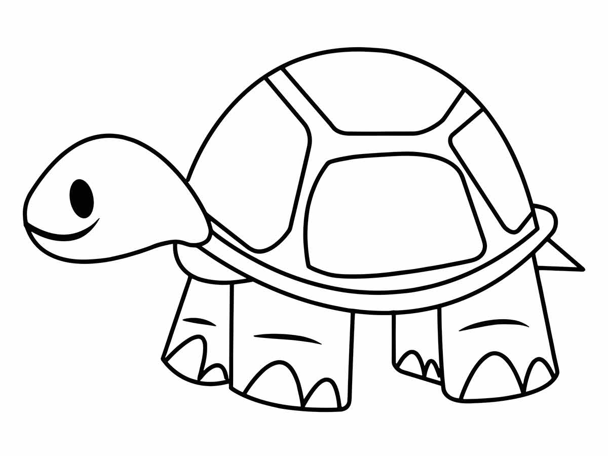 desenho de tartaruga para colorir 3