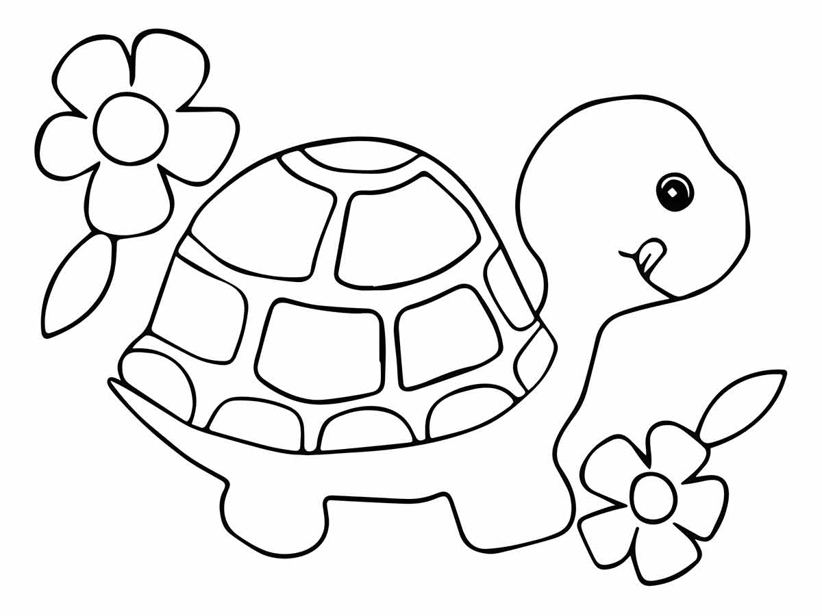 desenho de tartaruga para colorir 8