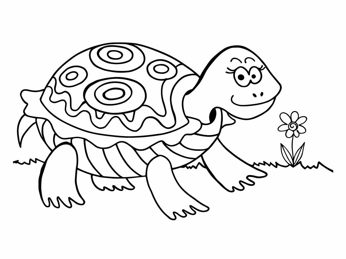 desenho de tartaruga para colorir 9