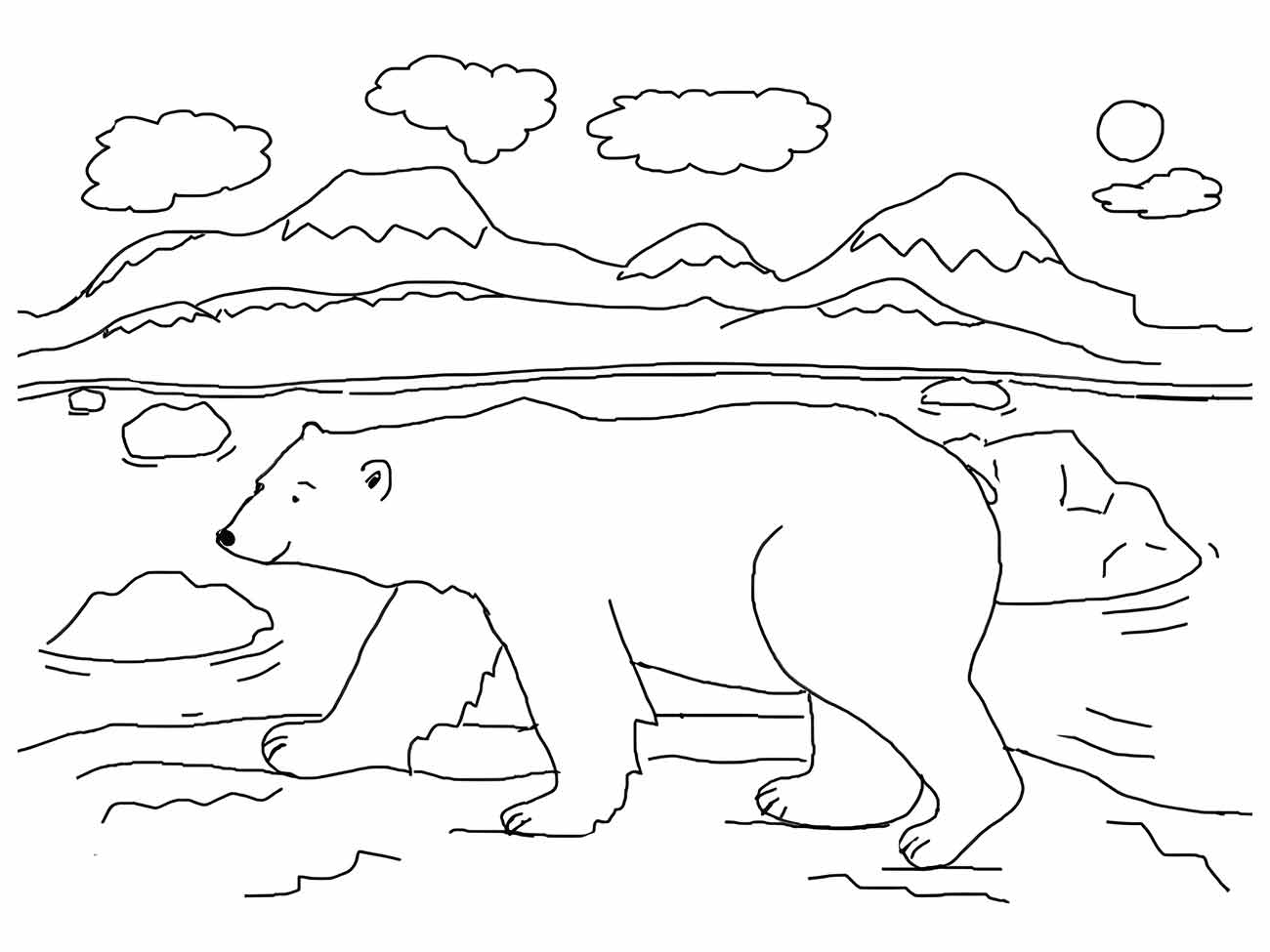 desenho de urso para colorir 18