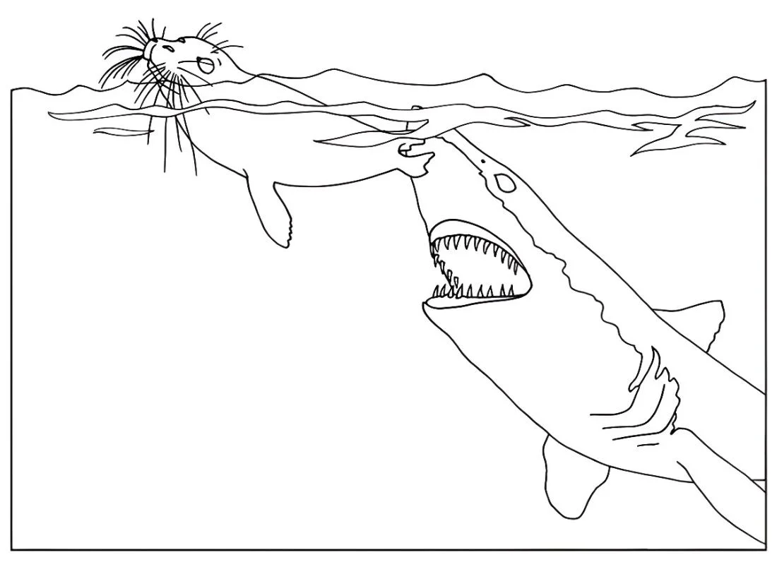 desenho tubarao para colorir 87