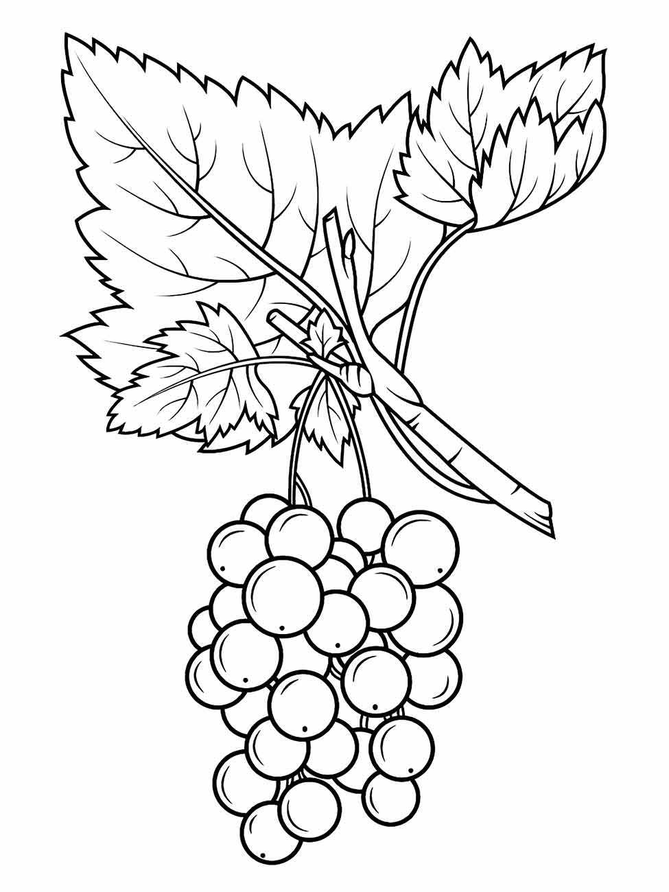 desenho uvas para colorir 15