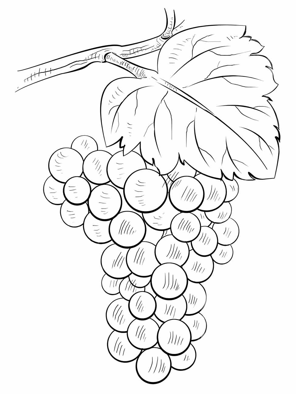 desenho uvas para colorir 16