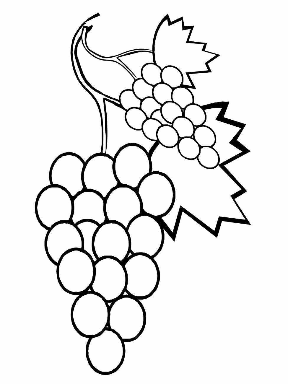 desenho uvas para colorir 21