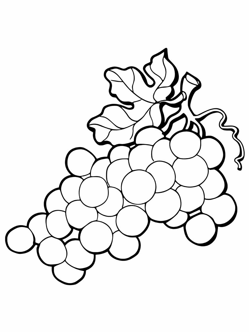 desenho uvas para colorir 23