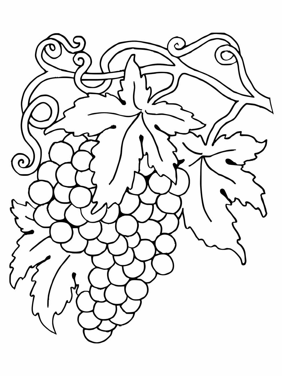 desenho uvas para colorir 25