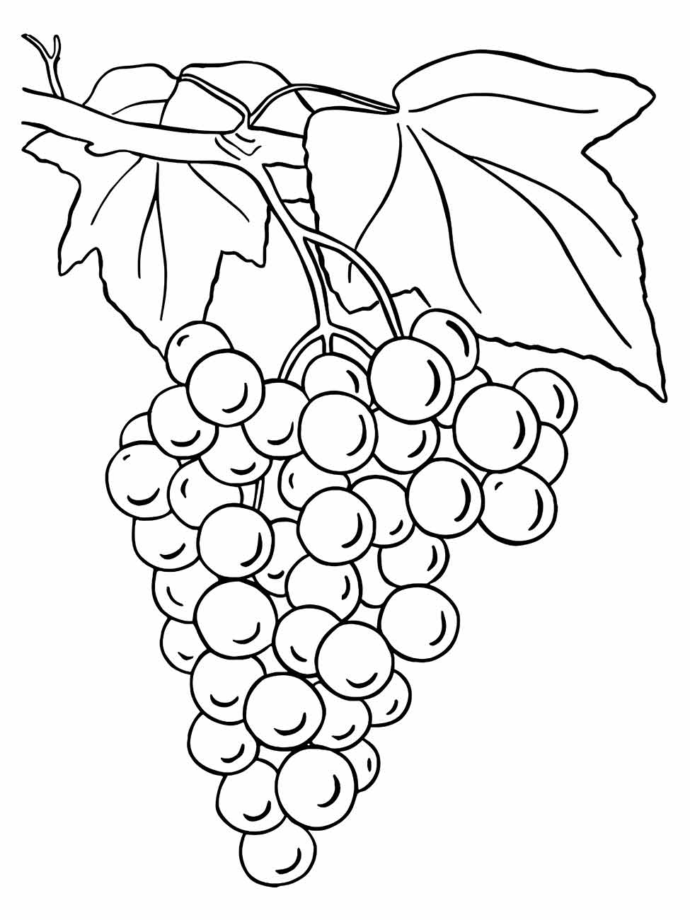 desenho uvas para colorir 26