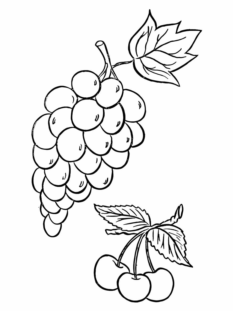 desenho uvas para colorir 29