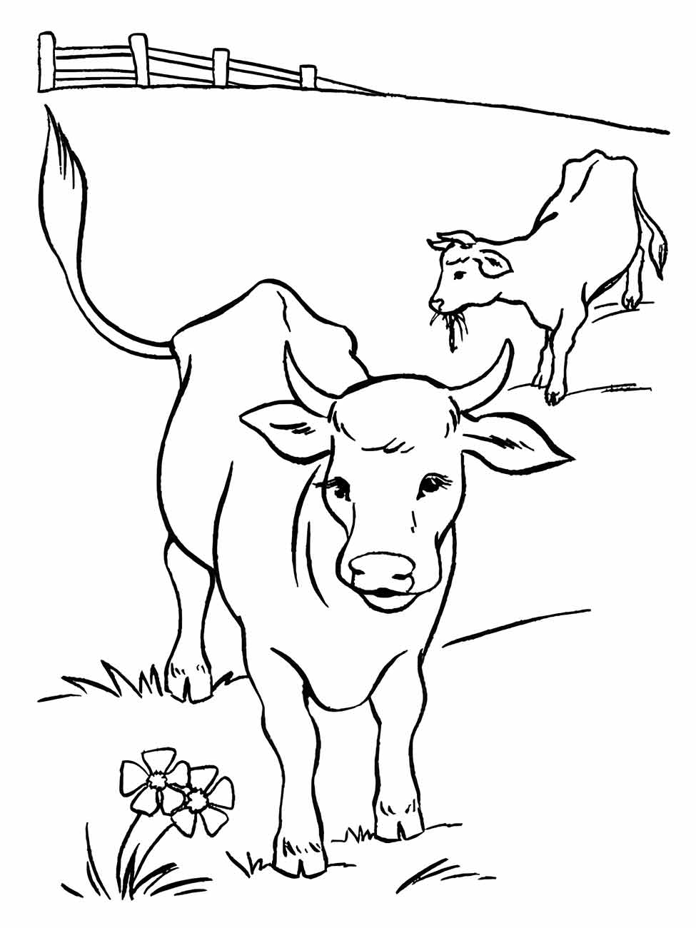 desenho vacas para colorir 53