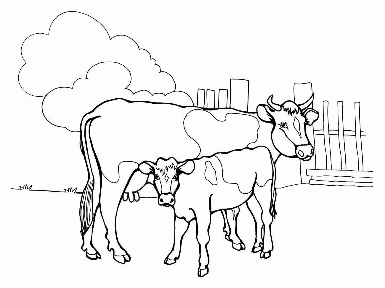 desenho vacas para colorir 54