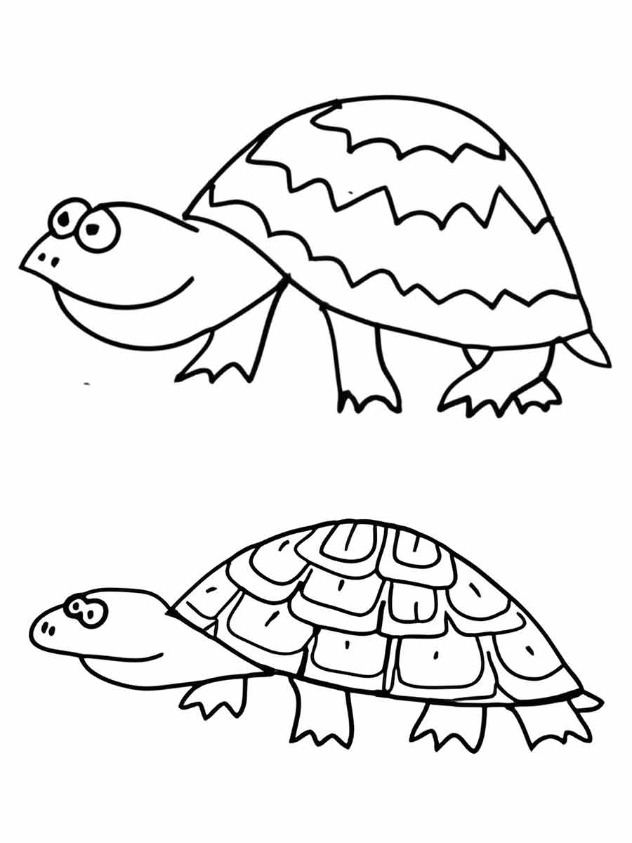 desenhos de tartarugas para colorir 0