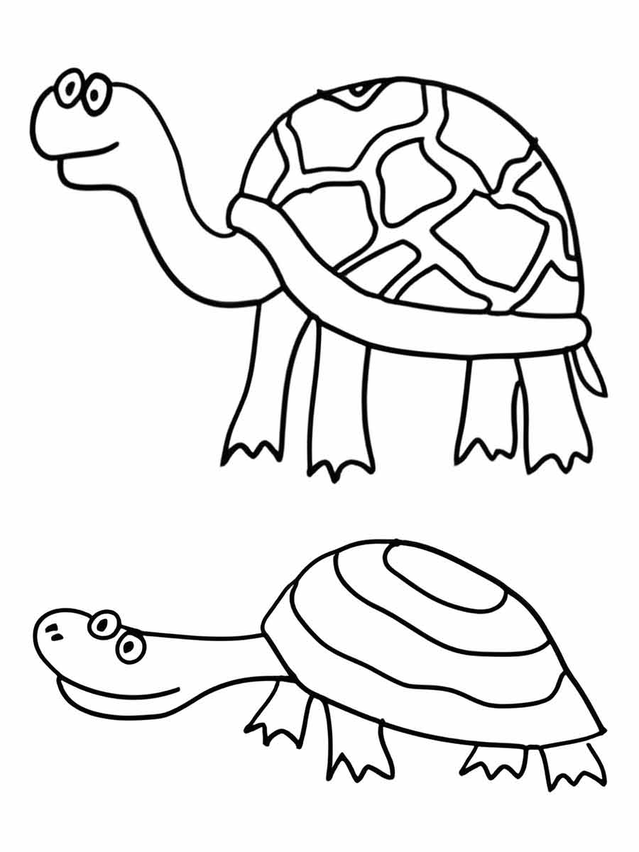 desenhos de tartarugas para colorir 21