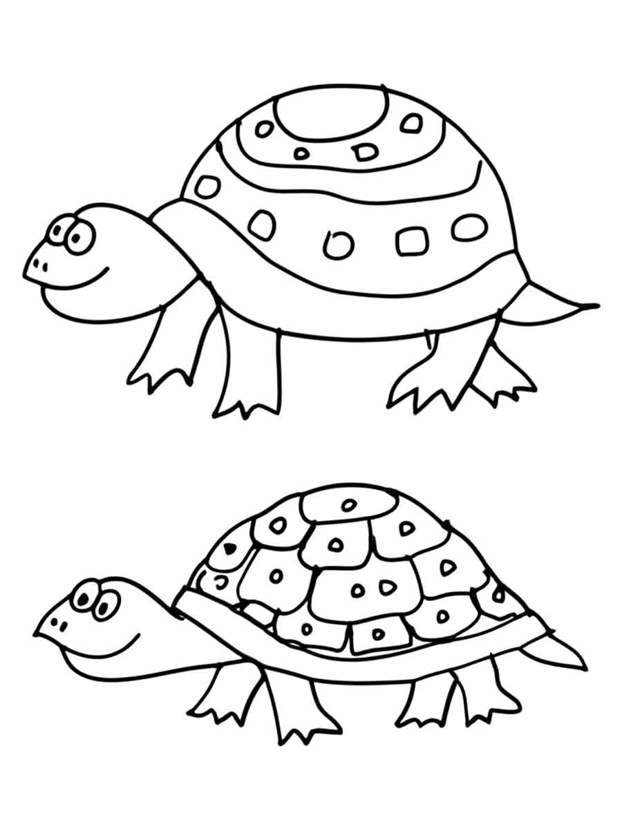 desenhos de tartarugas para colorir 22