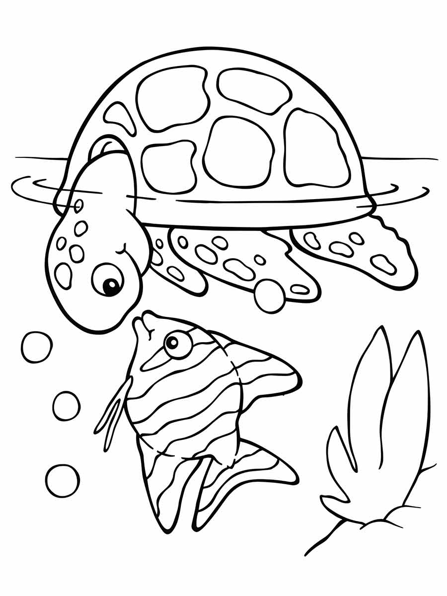 desenhos de tartarugas para colorir 27