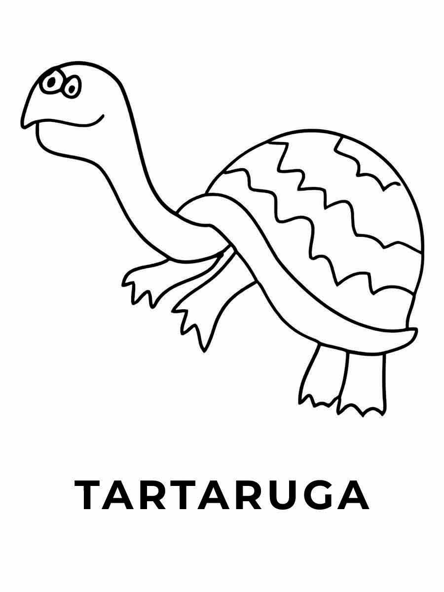 tartaruga para colorir 12