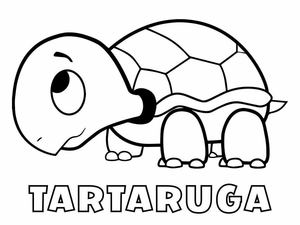 tartaruga para colorir 16 (1)