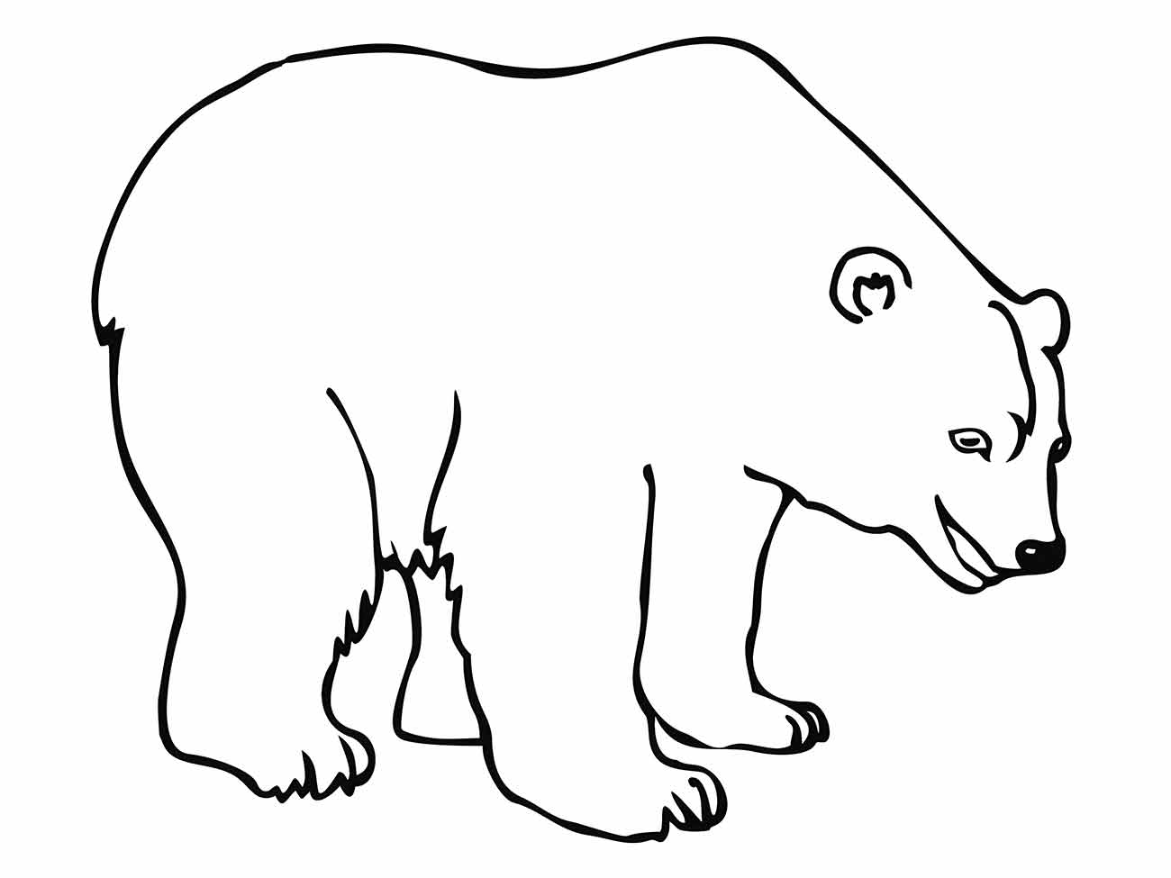 urso para colorir 1