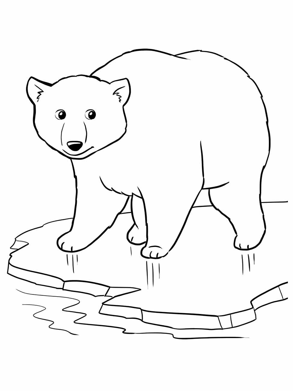 urso para colorir 2